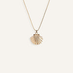 Minimal gold necklace with shell-shaped pendant.